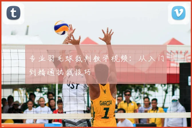 专业羽毛球裁判教学视频：从入门到精通执裁技巧