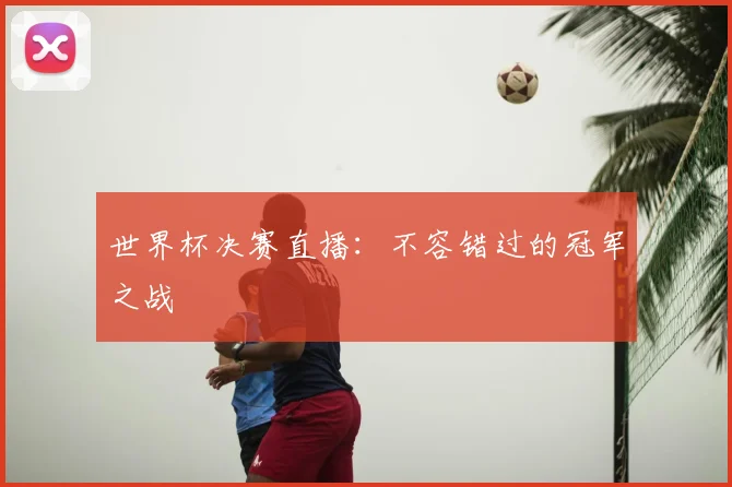 世界杯决赛直播：不容错过的冠军之战